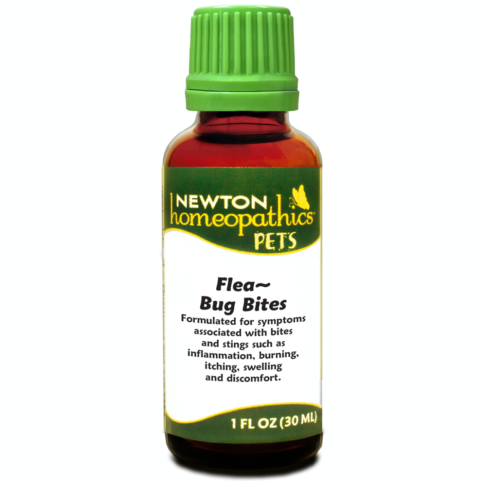 product-main-img-28391.png