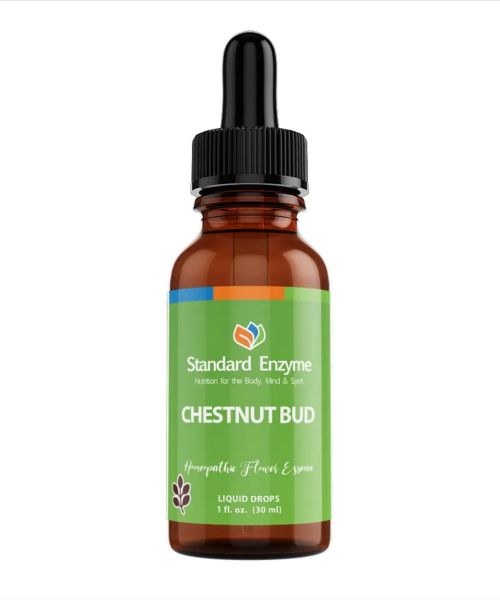 STANDARD ENZYME CHESTNUT BUD