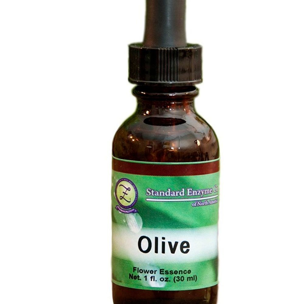 Standard Enzyme Olive 1oz Liquid Old Label.jpg